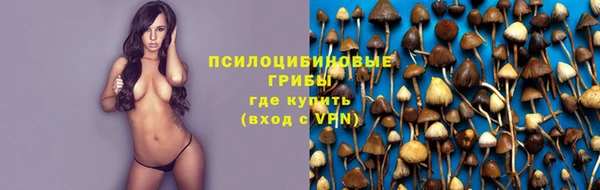 гидропоника Новозыбков