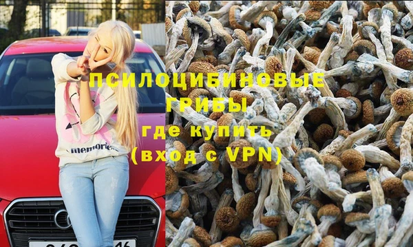 прущие крисы Абаза