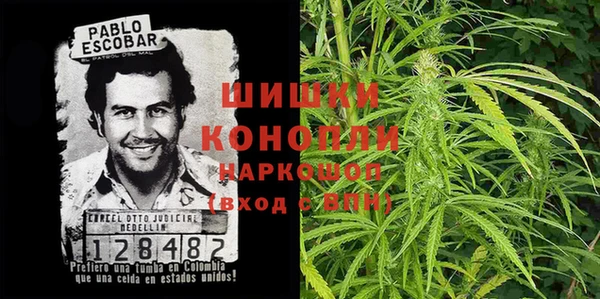 прущие крисы Абаза