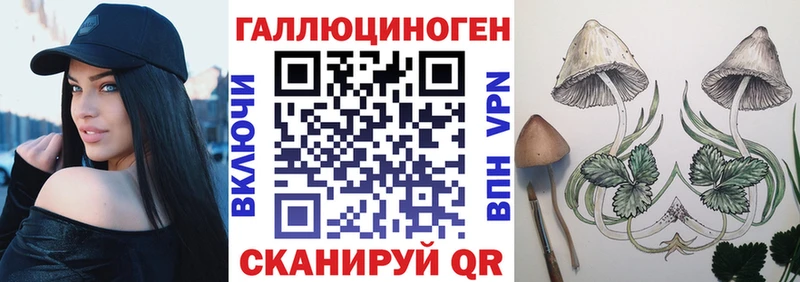 Галлюциногенные грибы ЛСД Питкяранта