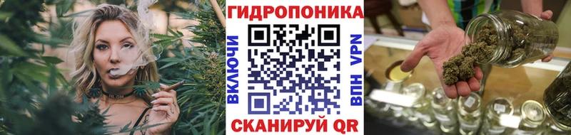 ОМГ ОМГ вход  Питкяранта  МАРИХУАНА тримм 